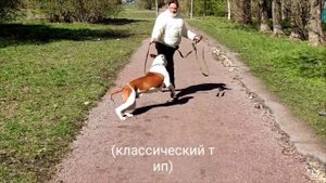 Бэтмен, прогулки с "мамочкой"