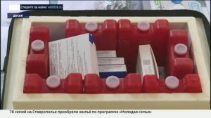 Как защитить иммунитет: прививки и советы экспертов