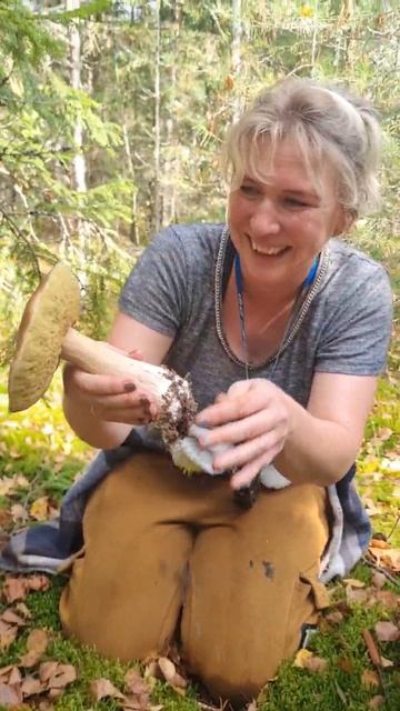 маленькое грибное счастье. БЕЛЫЕ ГРИБЫ как с картинки. Я СЧАСТЛИВА. смотреть онлайн