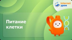 Питание клетки. Видеоурок по биологии 10 класс
