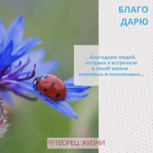 Благодарю окружающих людей за жизненные уроки!