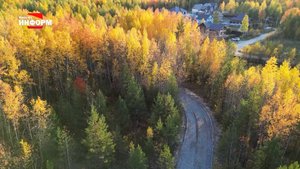 Строительство лыжероллерной трассы