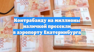 Контрабанду на миллионы наличкой пресекли в аэропорту Екатеринбурга