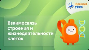 Взаимосвязь строения и жизнедеятельности клеток. Видеоурок по биологии 10 класс
