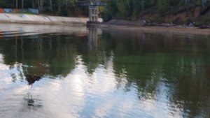 16 - Утка Улетела - 2025