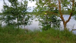 Красиво поют птички, на Водоеме Байкал, произвели очистку дна и берега для официального открытия