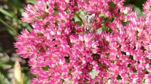 Просыпаешься с утра, и думаешь , что такой теплый день последний, начнутся дожди и холода, облетят л