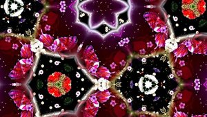 С Днём Рождения! Букеты роз от Киностудии Мудрого Кота Тимофея!