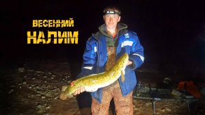 Ловим налима! Рыбалка проще некуда, р.Кама