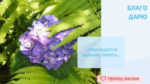 Благодарю за возможность вдохновляться самой и вдохновлять других!