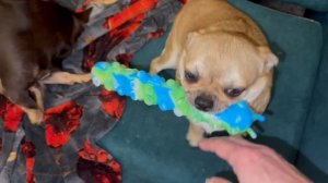 Всем наидобрейшего, пятничного утречка.