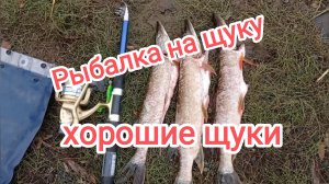 Рыбалка на щуку. Спиннинг гнётся под весом рыбы.