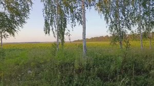 Мое ты чудо...