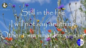 NDLP - Notre Dame la Pucelle