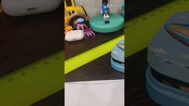 1000003159.mp4