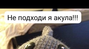 это мой кот весь день