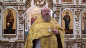 17.09.2025 г.Проповедь протоиерея Сергия Чибисова  Свято-Митрофановский храм село Верхний Мамон.