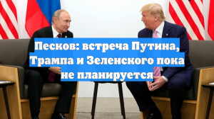 Песков: встреча Путина, Трампа и Зеленского пока не планируется