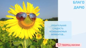 Благодарю за счастливые моменты!