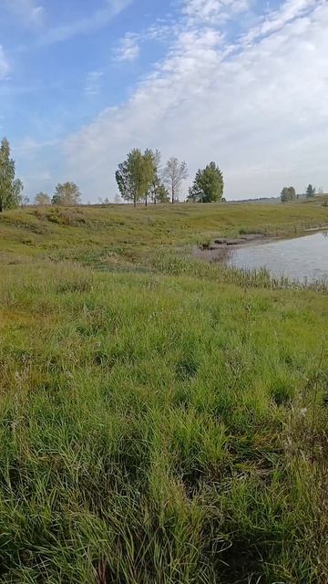 Подсадные утки. Готовимся к состязаниям. смотреть онлайн