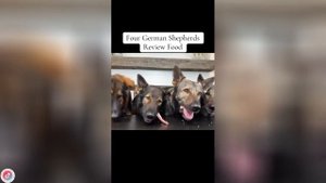 Best video of Tik Tok! 17.09.25 / 02