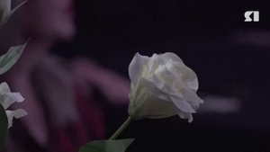 В Ярославле завершился один из крупнейших молодежных кинофестивалей на территории России