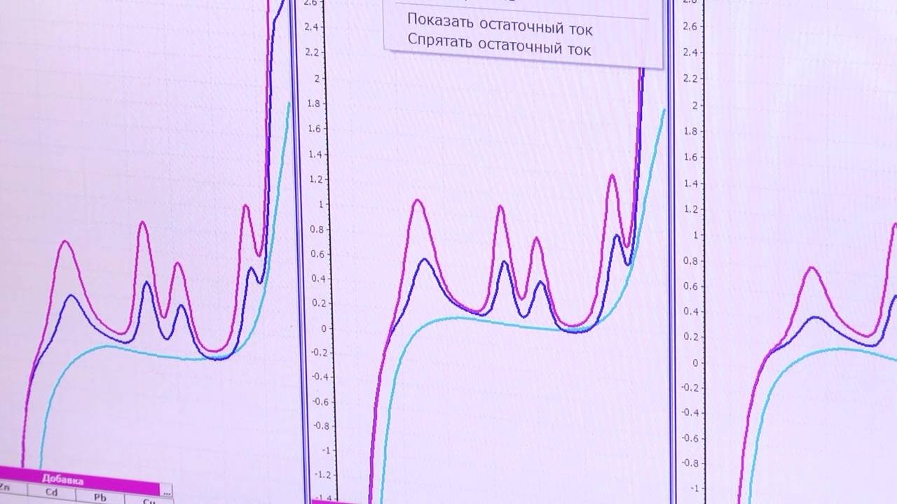 ПРОФЕССИОНАЛЬНЫЙ ПРАЗДНИК