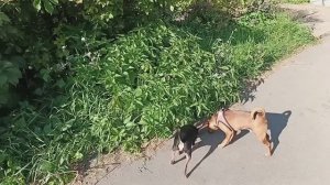 Среда 👩💻Утро - это не время Лорда 😂😂😂Книга "Убивать Осознанно" Супер!!!