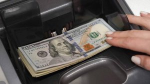 Экономист порекомендовала россиянам хранить в долларах не более 5% сбережений