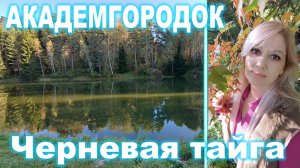 Академгородок ► Черневая тайга