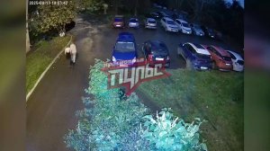 НЕАДЕКВАТНЫЕ ПОДРОСТКИ