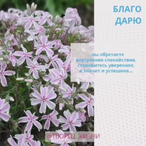 Благодарю родителей!