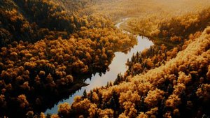 Последний шёпот летней красоты