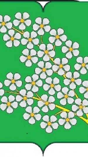 Очередное заседание Совета депутатов мун. округа Черемушки в городе Москве № 43 от 16.09.2025г.