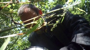 Помощь родителям - работа в саду