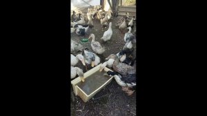 У нас прибавление !!!