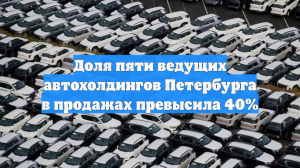 Доля пяти ведущих автохолдингов Петербурга в продажах превысила 40%