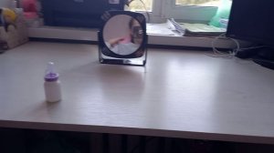 Влог с Семом!