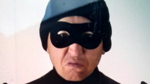 Общаемся с родственником робота Макса