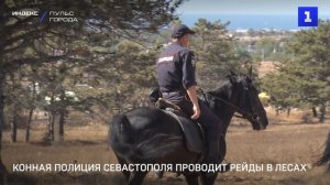 Конная полиция Севастополя проводит рейды в лесах