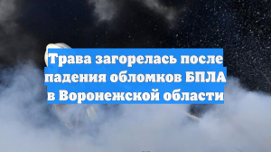 Трава загорелась после падения обломков БПЛА в Воронежской области
