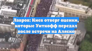 Лавров: Киев отверг оценки, которые Уиткофф передал после встречи на Аляске