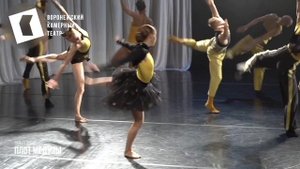 тизер Плот Медузы