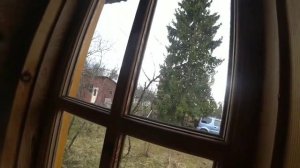 17-2022 Дачный влог! Открываем сезон! _ Elena Pero