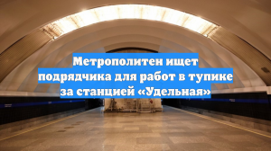 Метрополитен ищет подрядчика для работ в тупике за станцией «Удельная»