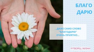 Благодарю за все, что имею сейчас!