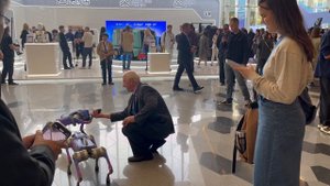 Дай лапу железный друг