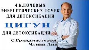 Ци01-55 4 момента для энергетической детоксикации организма. Чуньи Лин - Цигун Весеннего Леса