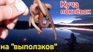 🔥Куча поклёвок и связка ЖЫРНЫХ ЧЕРВЯКОВ на Тройнике⚡️ночная рыбалка на "платнике". Диалоги о рыбе!