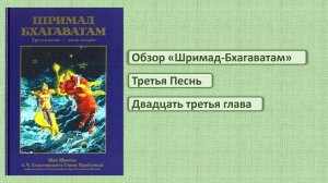 Обзор ШБ 3.23